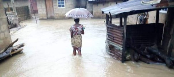Flood used to illustrate a story