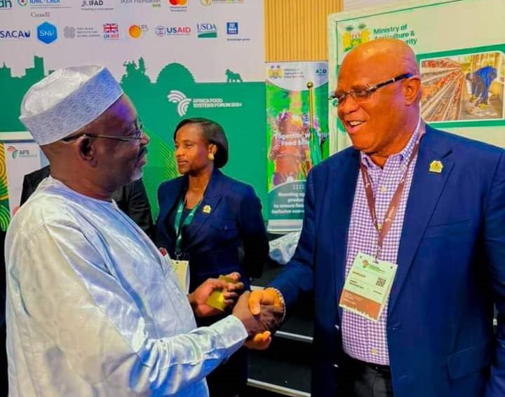 Governors Umar Namadi of Jigawa State and Umo Eno of Akwa Ibom State at the Food Summit