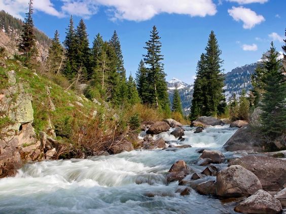 Photo of a river used to illustrate the story